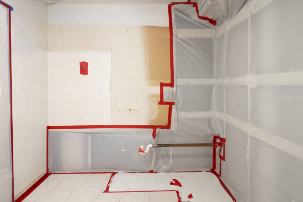 Best Mold Remediation for Healthcare Facilities  in Los Luceros, NM