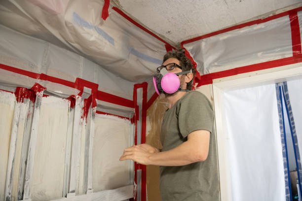 Best Asbestos and Lead Testing During Mold Inspection  in Los Luceros, NM