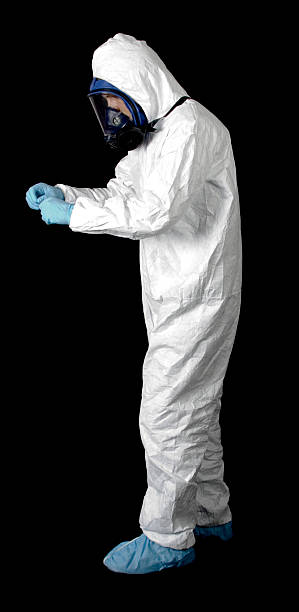 Best Basement Mold Removal  in Los Luceros, NM