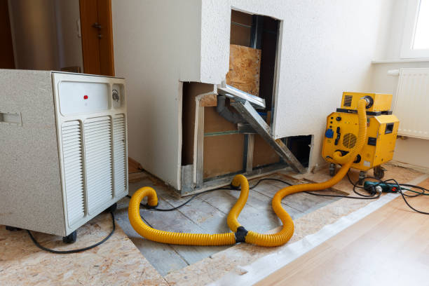 Best Mold Remediation for Healthcare Facilities  in Los Luceros, NM